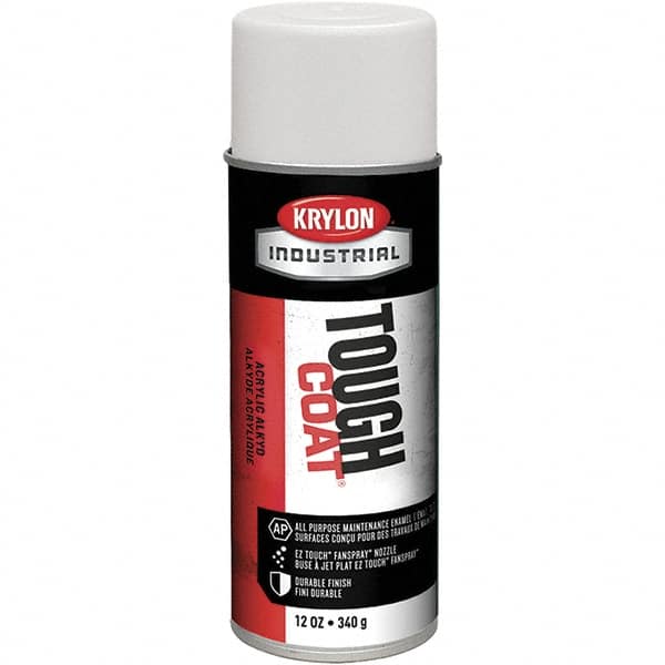 Krylon S03720X24