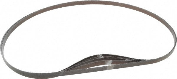 Lenox 8009838PW10145 Portabands