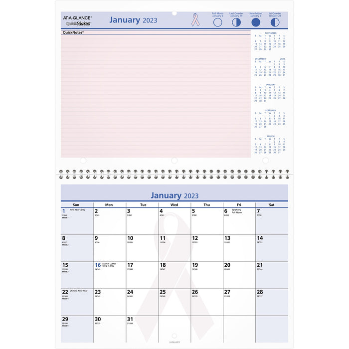 At-A-Glance QuickNotes Special Edition Monthly Wall Calendar - AAGPMPN5028