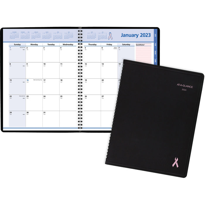 At-A-Glance Quicknotes Special Edition Monthly Planner - AAG76PN0605