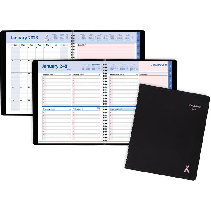 At-A-Glance QuickNotes Special Edition Weekly/Monthly Appointment Book - AAG76PN0105