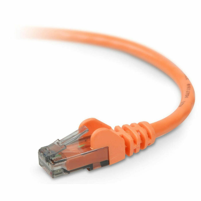 Belkin High Performance Cat. 6 UTP Network Patch Cable - BLKA3L98030ORGS