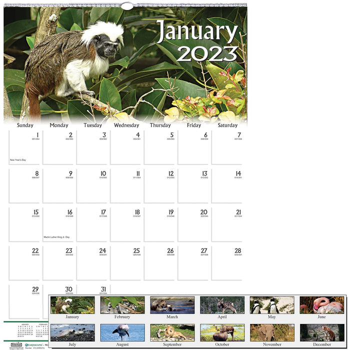 House of Doolittle Earthscapes Wildlife Monthly Wall Calendar - HOD3732