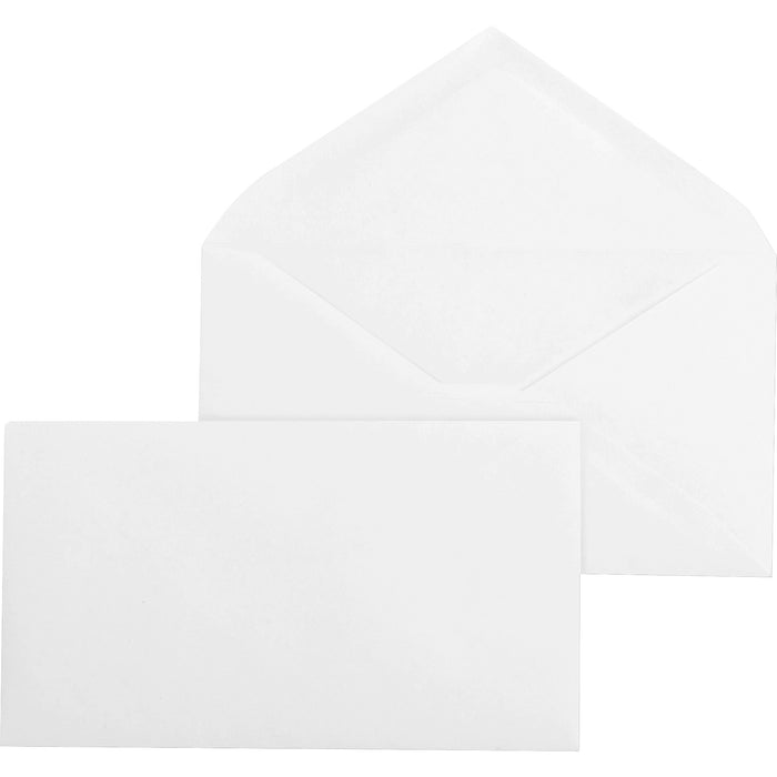 Business Source Diagonal Seam No. 9 Envelopes - BSN04469