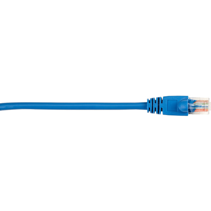 Black Box CAT5e Value Line Patch Cable, Stranded, Blue, 3-ft. (0.9-m) - BBNCAT5EPC003BL