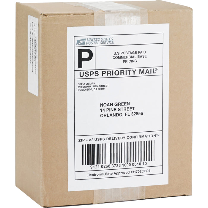 Business Source Shipping Labels - BSN26161