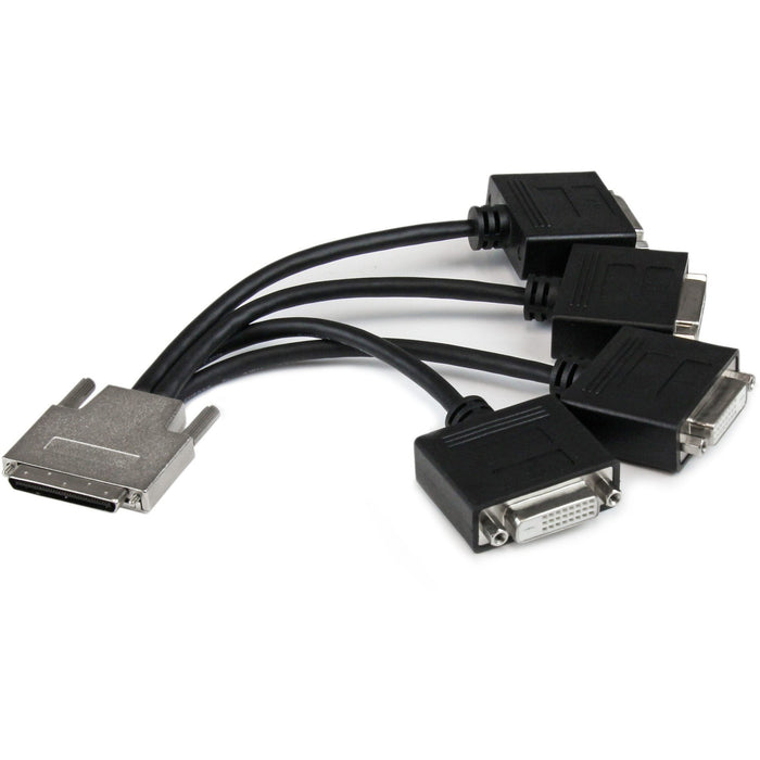 StarTech.com VHDCI to Quad DVI Splitter Breakout Cable - VHDCI (M) to 4x DVI-D (F) - STCVHDCI24DVI