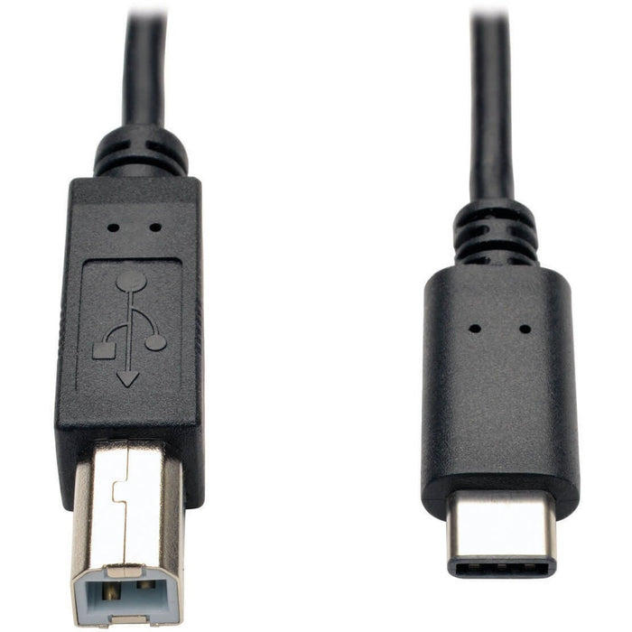 Tripp Lite 6ft USB 2.0 Hi-Speed Cable B Male to USB Type-C USB-C Male 6' - TRPU040006