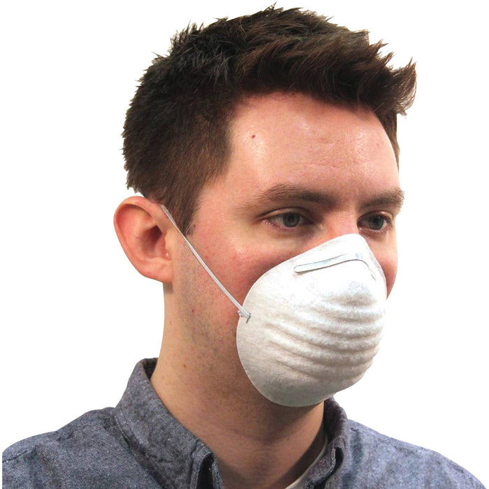 ProGuard Disposable Nontoxic Dust Mask - PGD7300B