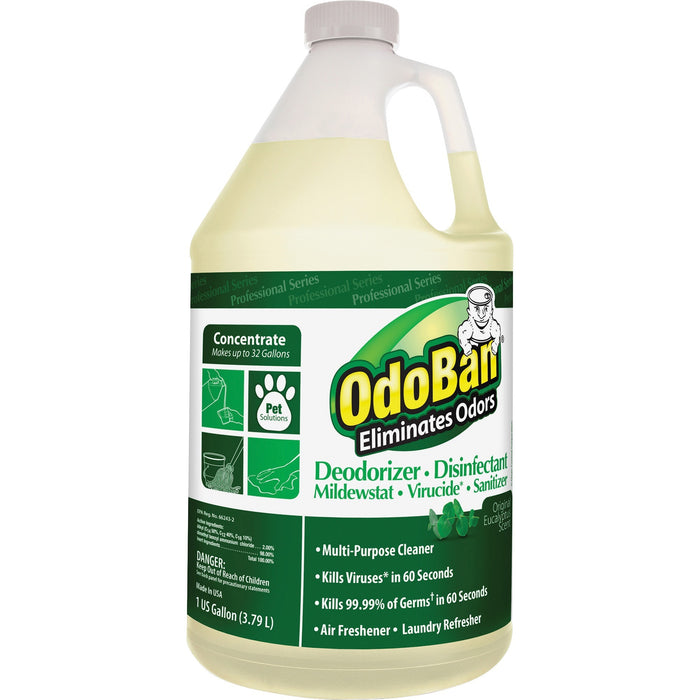 OdoBan Eucalyptus Multi-purpose Deodorizer Disinfectant Concentrate - ODO911062G4