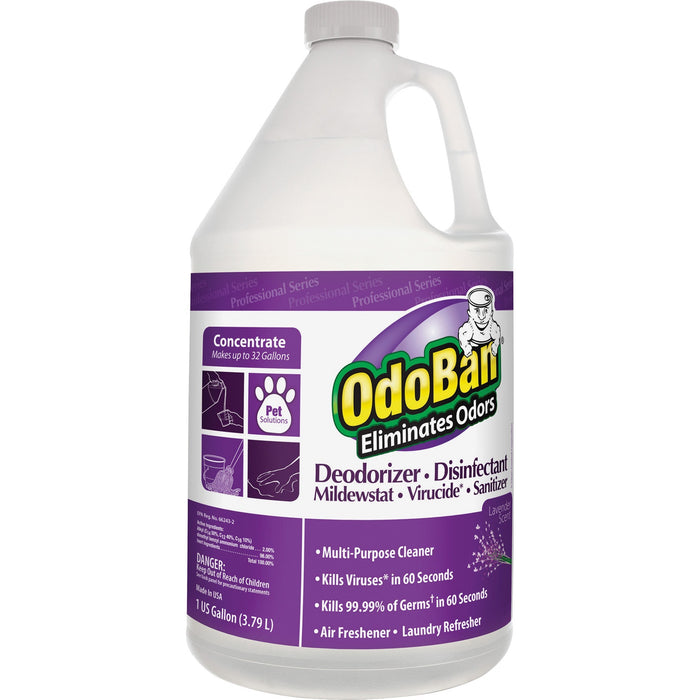 OdoBan Deodorizer Disinfectant Cleaner Concentrate - ODO911162G4