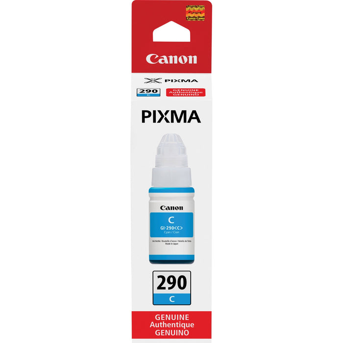 Canon PIXMA GI-290 Ink Bottle - CNMGI290C
