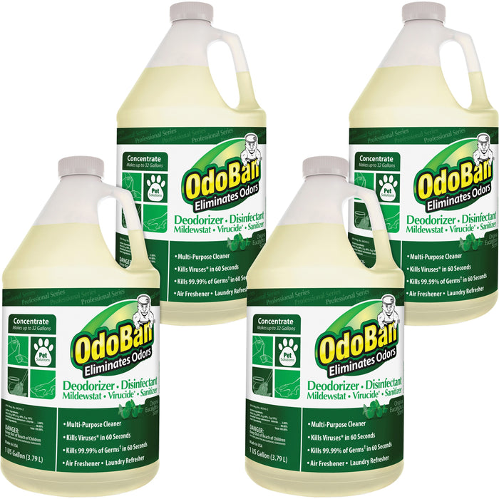 OdoBan Eucalyptus Multi-purpose Deodorizer Disinfectant Concentrate - ODO911062G4CT