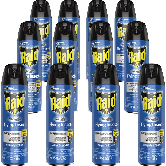 Raid Flying Insect Spray - SJN300816CT