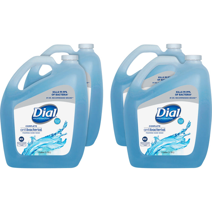 Dial Spring Water Scent Foaming Hand Wash - DIA15922CT