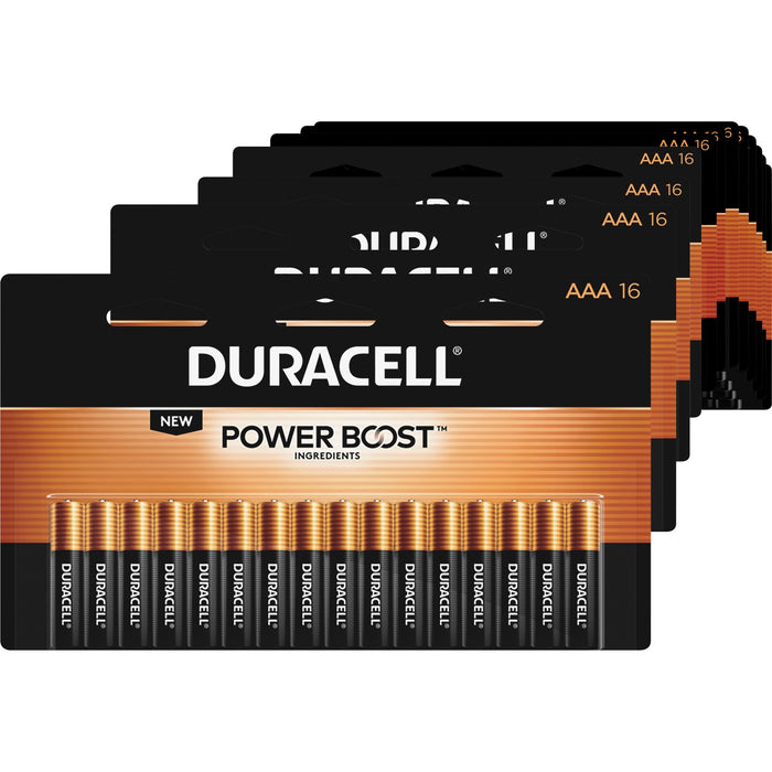 Duracell Coppertop Alkaline AAA Battery 16-Packs - DURMN2400B16ZCT
