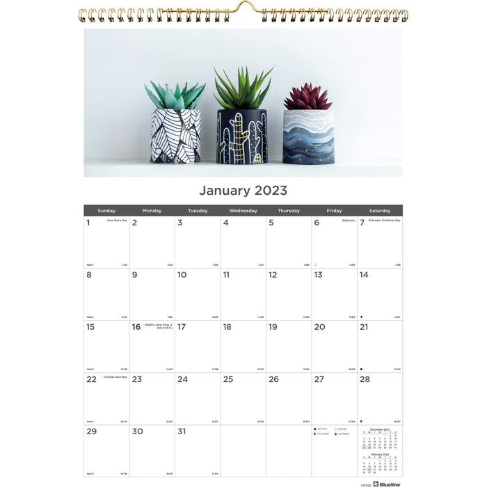 Rediform Succulent Plants Wall Calendar - REDC173121