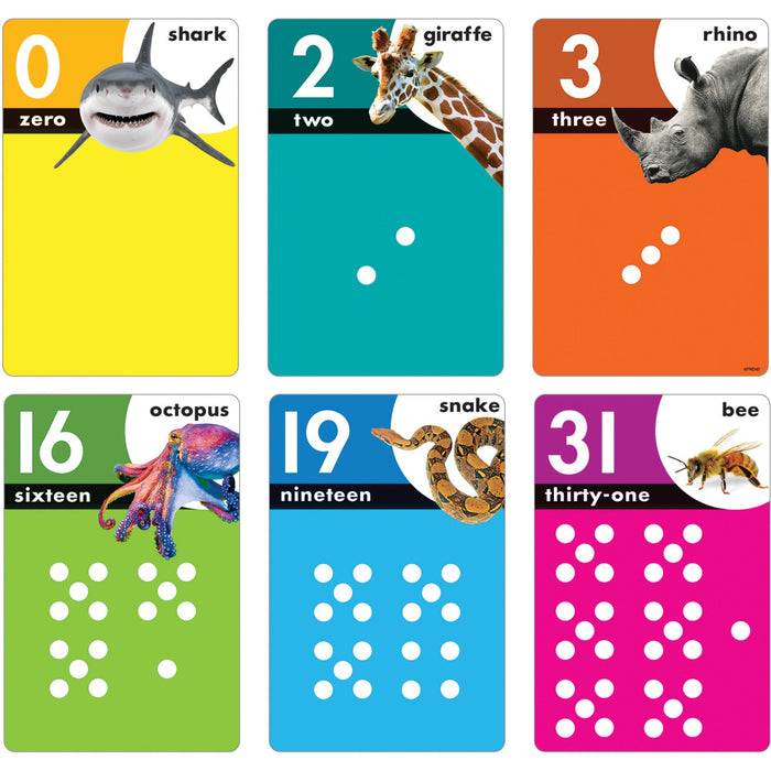 Trend Animals Count 0-31 Learning Set with Numbered Counting Cards - TEPT19008