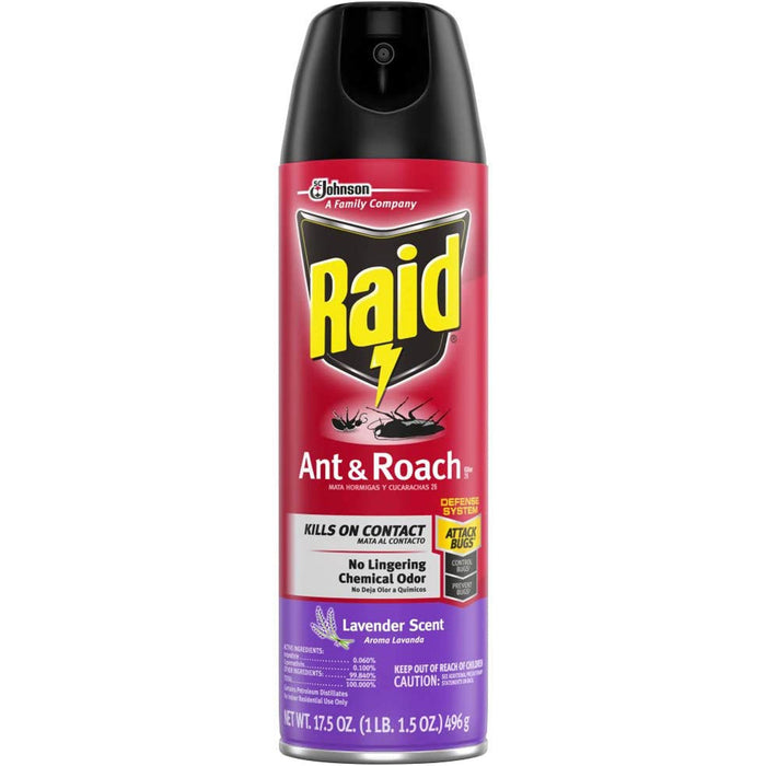 Raid Ant & Roach Killer Spray - SJN334632