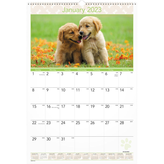 At-A-Glance Puppies Monthly Wall Calendar - AAGDMW16728