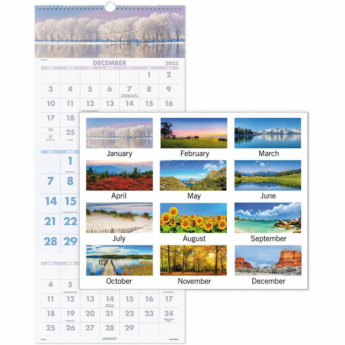 At-A-Glance Scenic Design 3-month Wall Calendar - AAGDMW50328