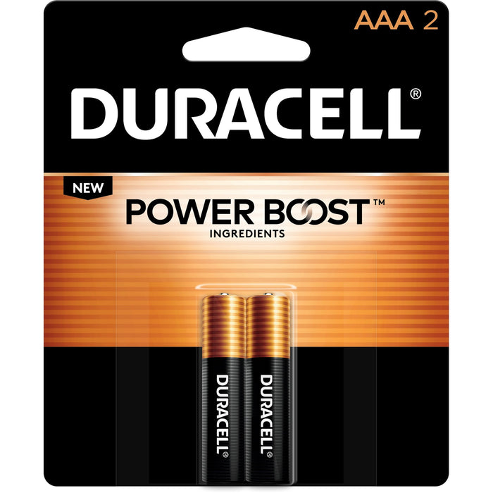 Duracell Multipurpose Battery - DURMN2400B2Z