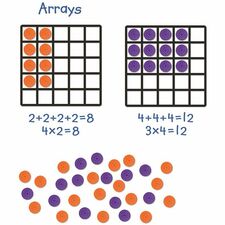 242868865.jpg