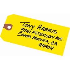 242895354.jpg
