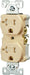 Eaton Wiring Devices TWRBR20V Duplex Receptacle, Nylon, Ivory, 2-Pole, 20 A, 125 V, Back, Side Wiring, NEMA: 5-20R