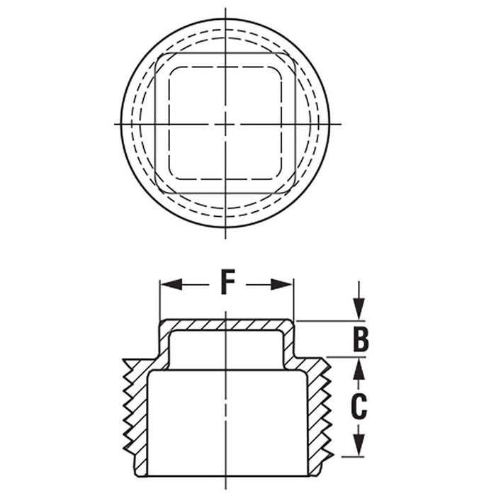 Caplugs TP5Q1