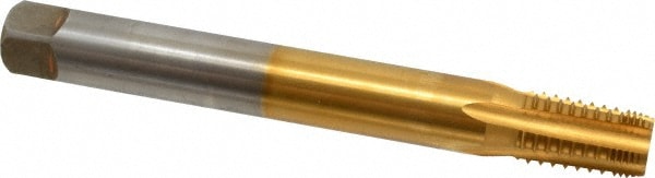 Hertel K015977AS25 Long Npt Pipe Taps