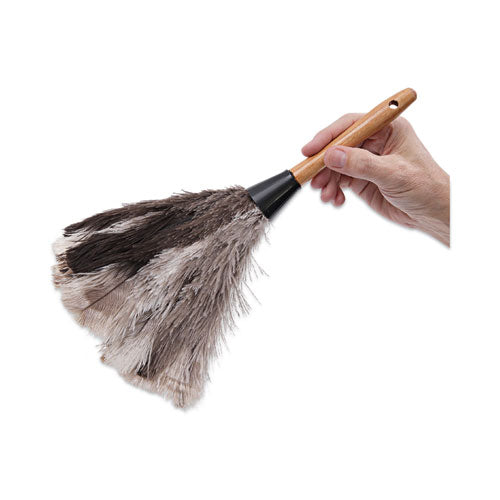 Professional Ostrich Feather Duster, 7" Wood Handle