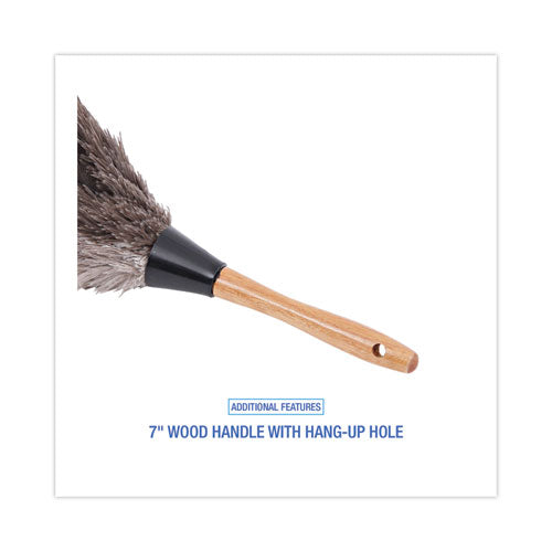 Professional Ostrich Feather Duster, 7" Wood Handle