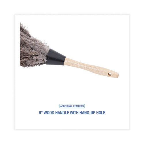 Professional Ostrich Feather Duster, 6" Wood Handle