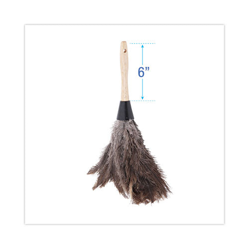 Professional Ostrich Feather Duster, 6" Wood Handle