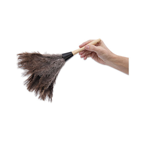 Professional Ostrich Feather Duster, 6" Wood Handle