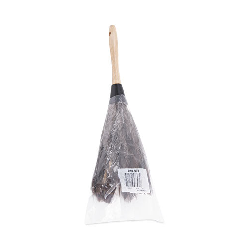 Professional Ostrich Feather Duster, 6" Wood Handle