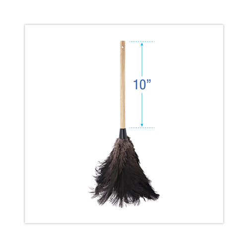 Professional Ostrich Feather Duster, 10" Wood Handle