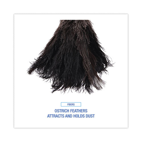 Professional Ostrich Feather Duster, 10" Wood Handle