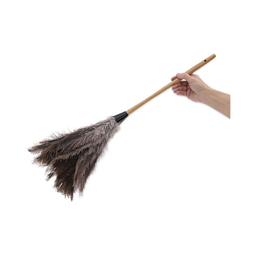 Professional Ostrich Feather Duster, 16" Wood Handle, 12" Gray Bristle