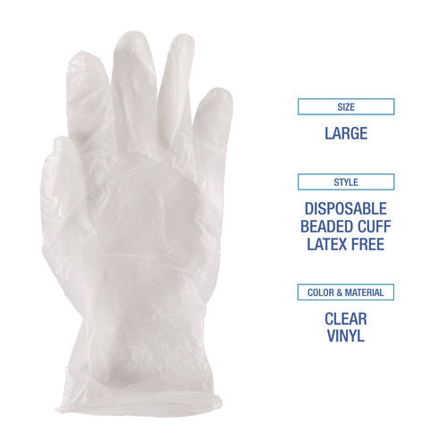 General Purpose Vinyl Gloves, Powder/latex-free, 2.6 Mil, Large, Clear, 100/box, 10 Boxes/carton