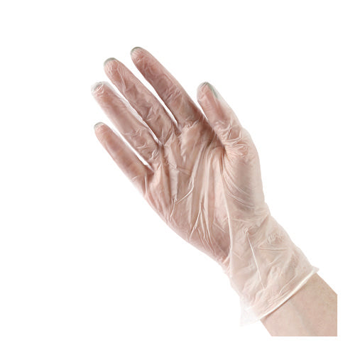 General Purpose Vinyl Gloves, Powder/latex-free, 2.6 Mil, Large, Clear, 100/box, 10 Boxes/carton