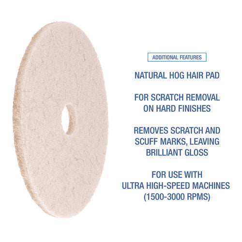 Natural Hog Hair Burnishing Floor Pads, 19" Diameter, Tan, 5/carton