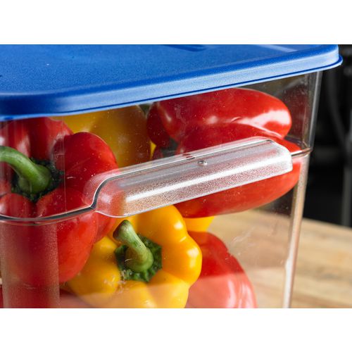 Squares Food Storage Container Lid, 11.38 X 11.38 X 0.63, Blue, Plastic