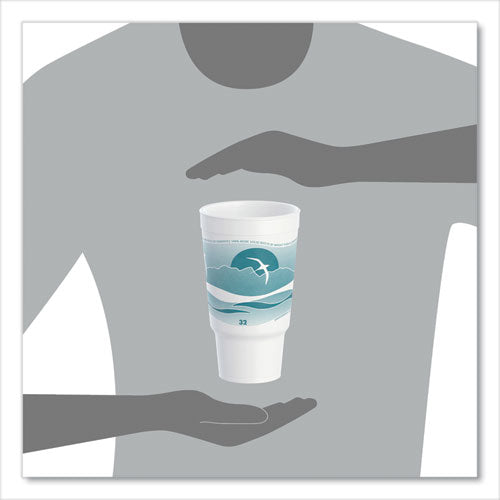 Horizon Hot/cold Foam Drinking Cups, 32 Oz, White/teal, 16/bag, 25 Bags/carton