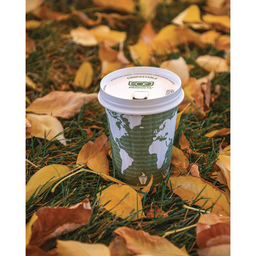 World Art Renewable And Compostable Insulated Hot Cups, 12 Oz, Brown/white, 40/pack, 15 Packs/carton