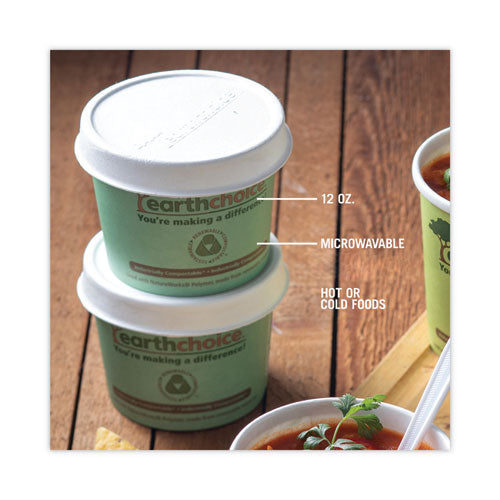 Earthchoice Compostable Soup Cup, Medium, 12 Oz, 3.63" Diameter X 3.63"h, Teal, Paper, 500/carton