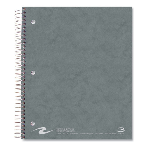 Subject Wirebound Notebook, 3-subject, Medium/college Rule, Assorted Cover, (120) 11 X 9 Sheets, 24/carton