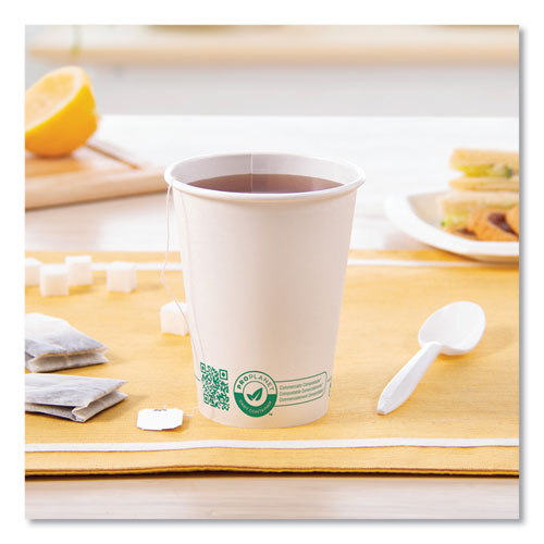 Compostable Paper Hot Cups, 12 Oz, White/green, 1,000/carton