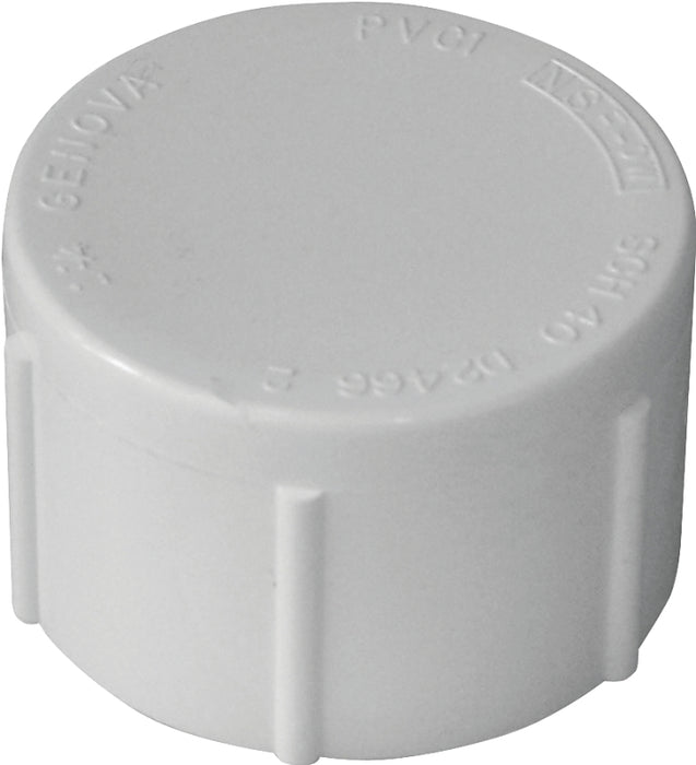 IPEX 435425 Pipe Cap, 1 in, FPT, White, SCH 40 Schedule, 150 psi Pressure